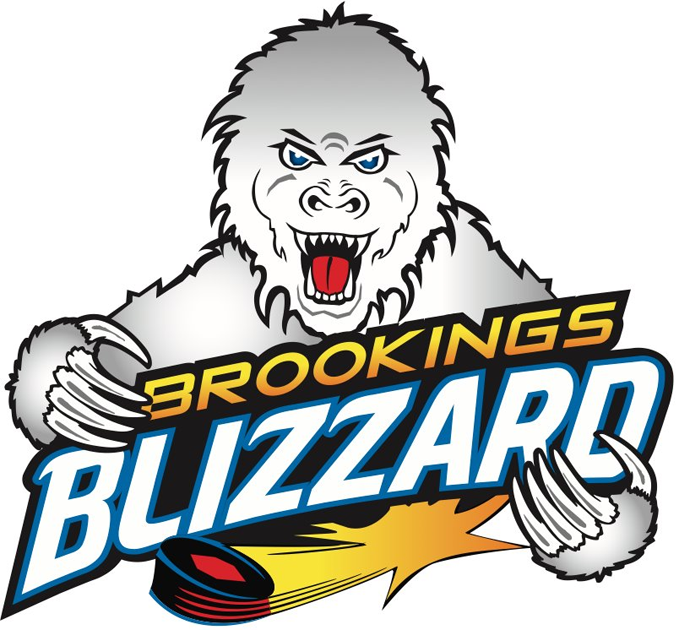 brookings blizzard 2012-pres primary logo iron on transfers for T-shirts